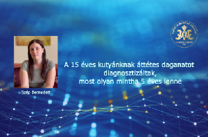 A 15 éves kutyánknak áttétes daganatot diagnosztizáltak, most olyan mintha 5 éves lenne – Szép Bernadett